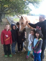 joy at farm